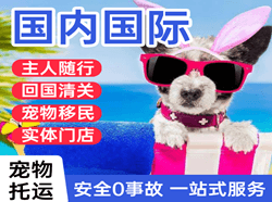 威海大水泊机场货运国际宠物托运 【国